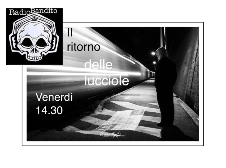 Il ritorno delle lucciole puntata 91