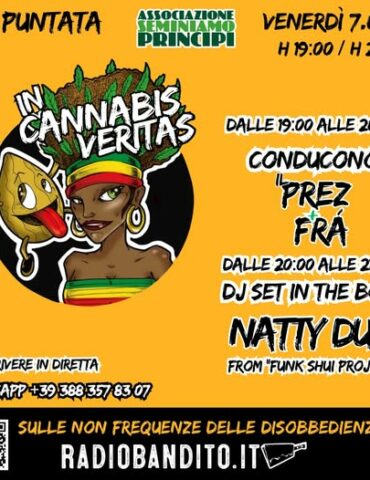 In Cannabis Veritas Puntata 32