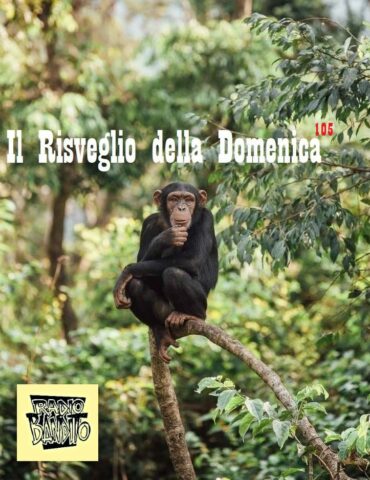 Il risveglio della domenica puntata 105