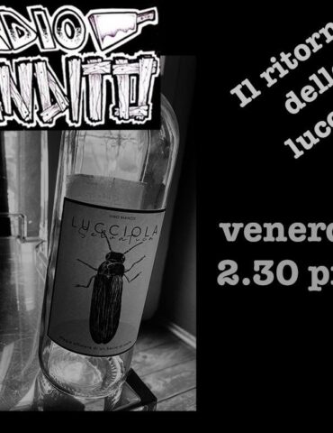 Il ritorno delle lucciole puntata 91