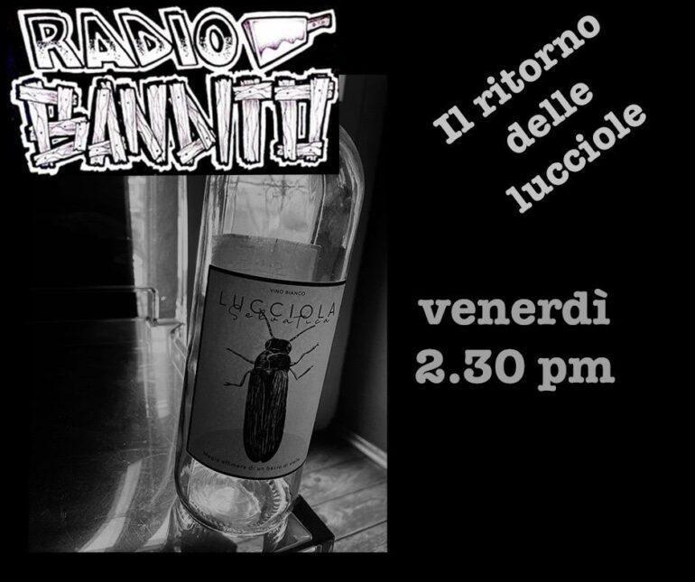 Il ritorno delle lucciole puntata 91