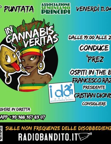 In Cannabis Veritas Puntata 34