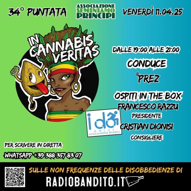 In Cannabis Veritas Puntata 34