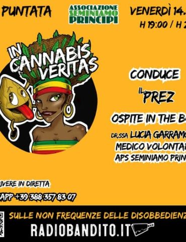 In Cannabis Veritas Puntata 33