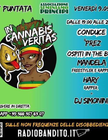 In Cannabis Veritas Puntata 35