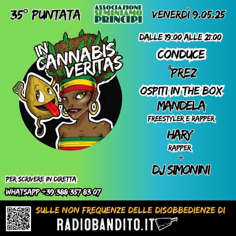 In Cannabis Veritas Puntata 35