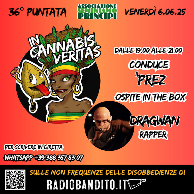 In cannabis veritas puntata 36