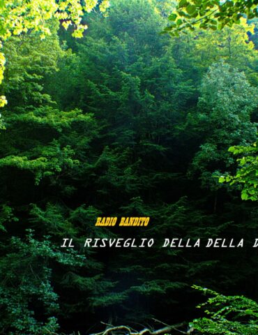 Il risveglio della domenica puntata 126