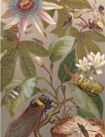 Sleepdose puntata 146