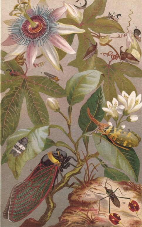 Sleepdose puntata 146