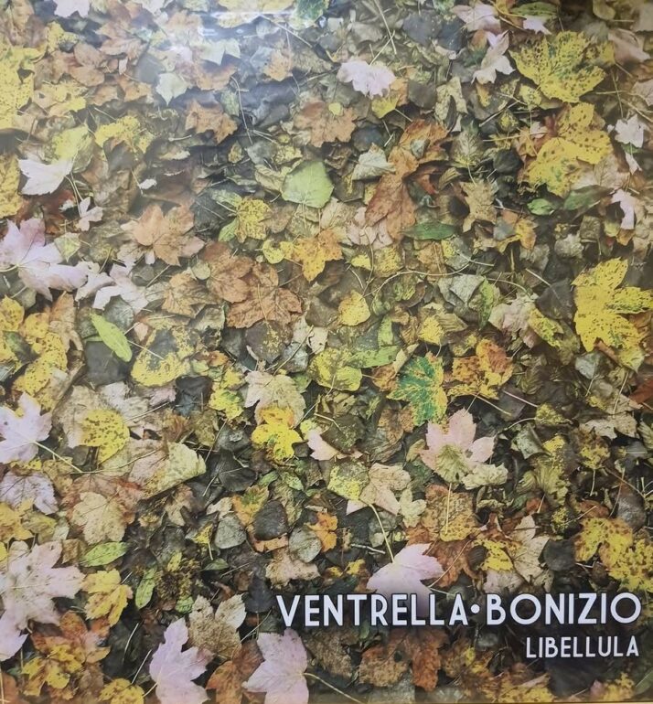 L'ora illegale puntata 172