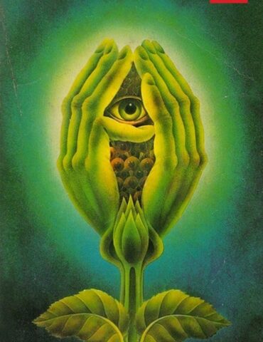 Il risveglio della domnica puntata 137