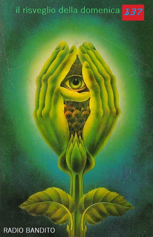 Il risveglio della domnica puntata 137