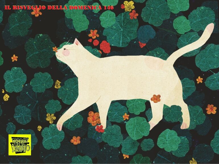 Il risveglio della domenica puntata 146