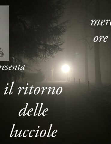 Il ritorno delle lucciole puntata 119