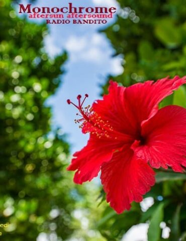 Aftersun aftersound Puntata 130