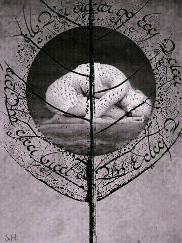 Sleepdose puntata 159