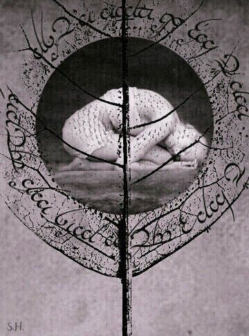 Sleepdose puntata 159