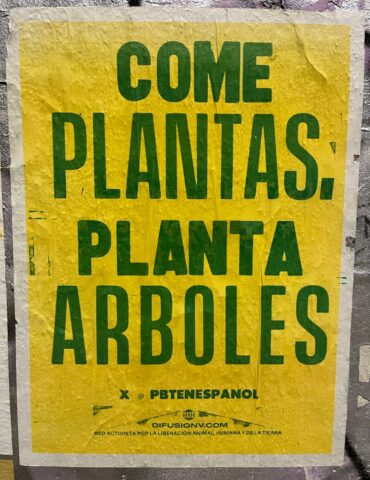 Playlist di Dj Frankenchrist puntata 48