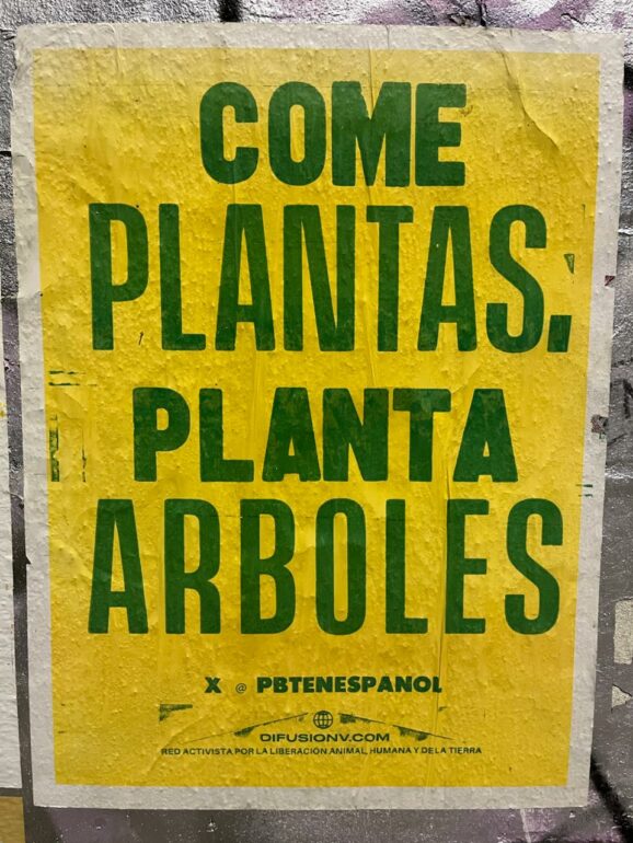 Playlist di Dj Frankenchrist puntata 48