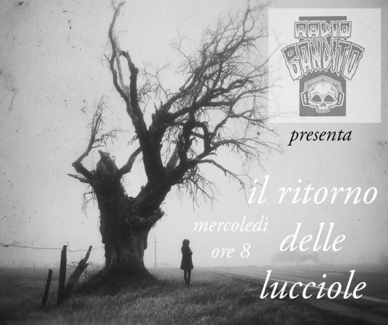 Il ritorno delle lucciole puntata 124