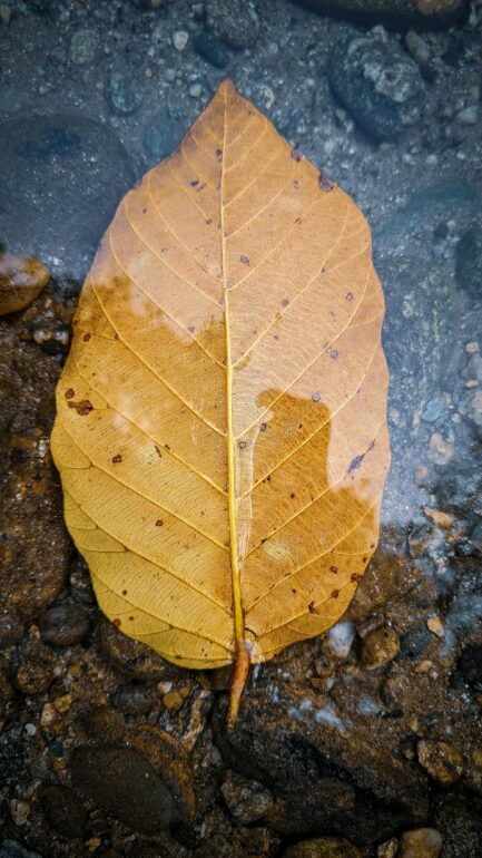 My Selecta Puntata 7