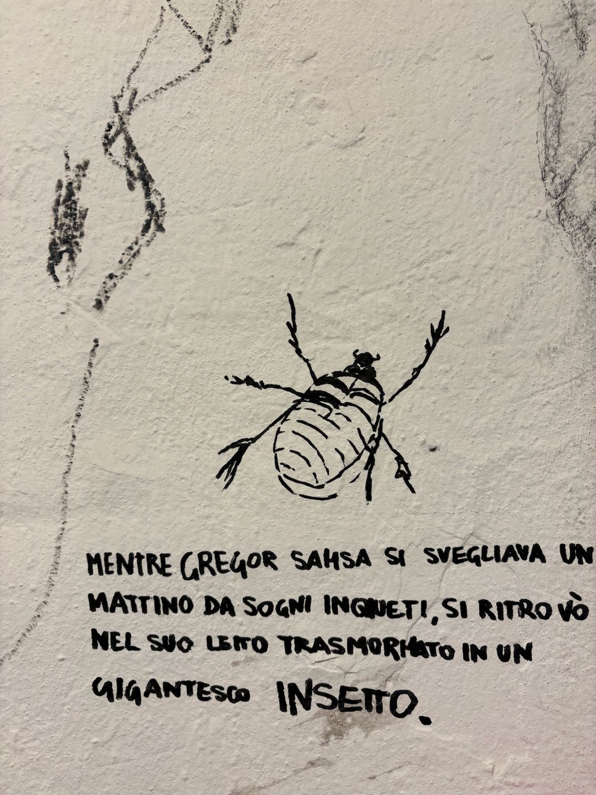 Sfondo