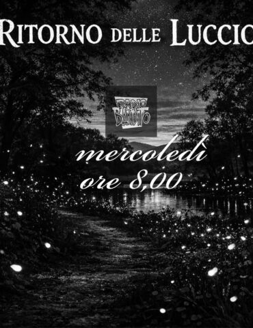 Il ritorno delle lucciole puntata 133