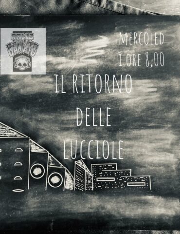 Il ritorno delle lucciole puntata 135
