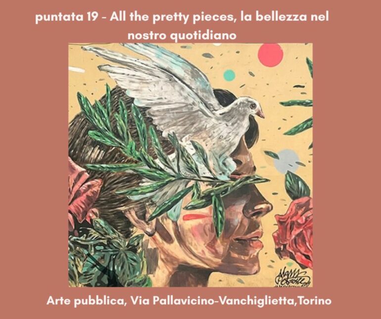 Il chiusino puntata 19