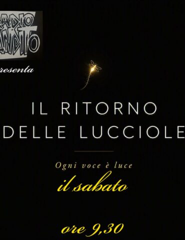 il ritorno delle lucciole puntata 137