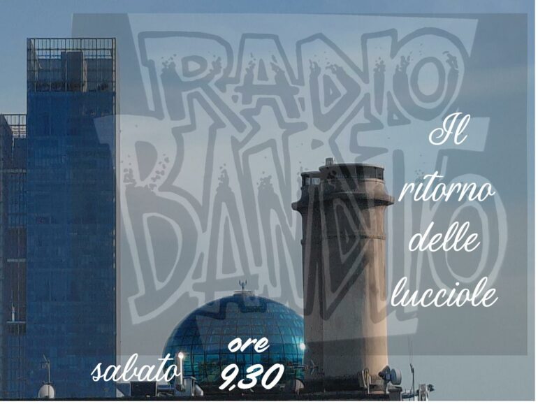 Il ritorno delle lucciole puntata 138